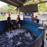 PW GP Ansor Jatim Dukung Program Ketahanan Pangan dengan Budidaya Lele dan Patin