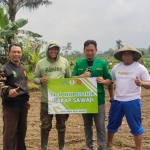 PAC Ansor Talun Kab Blitar Garap Sawah Wujudkan Kemandirian Ekonomi