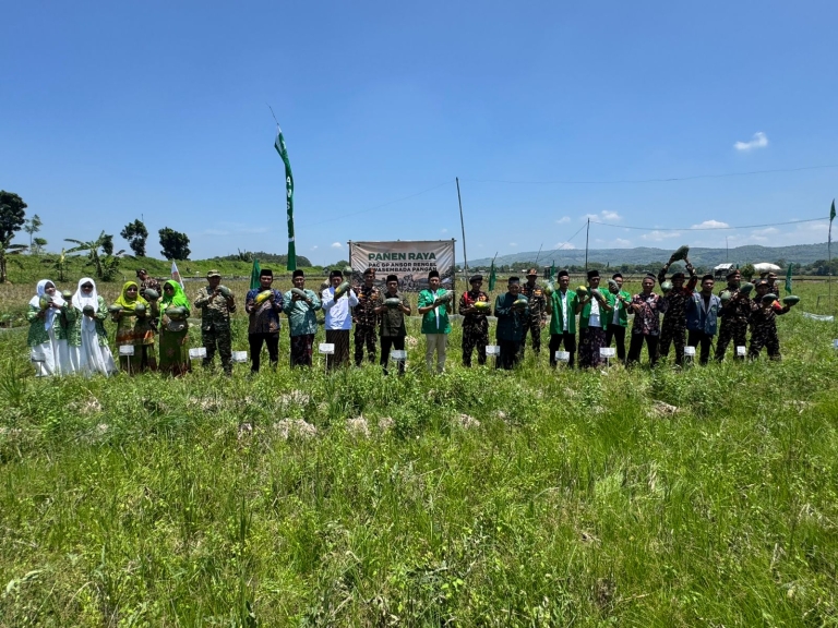 Panen Semangka Kuning PAC GP Ansor Rengel, Siap Jadi Motor Penggerak Pangan di Jawa Timur