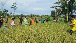 Kedaulatan Pangan dari Akar Rumput: Langkah Nyata PAC GP Ansor Talun