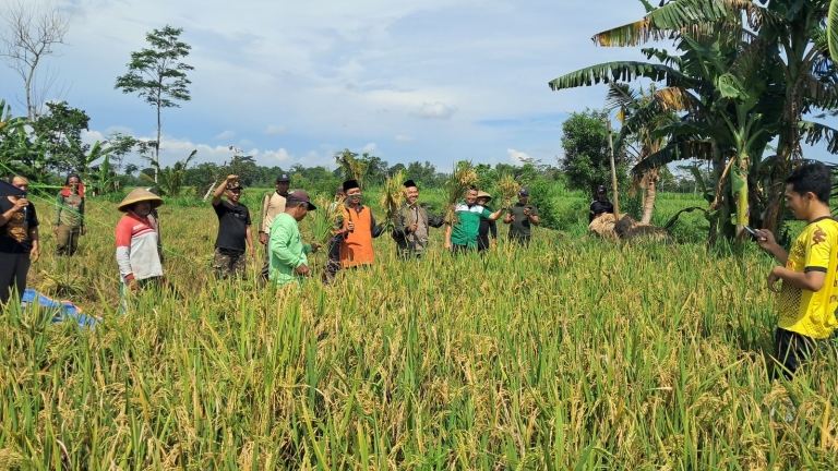 Kedaulatan Pangan dari Akar Rumput: Langkah Nyata PAC GP Ansor Talun